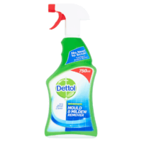 Dettol Mould